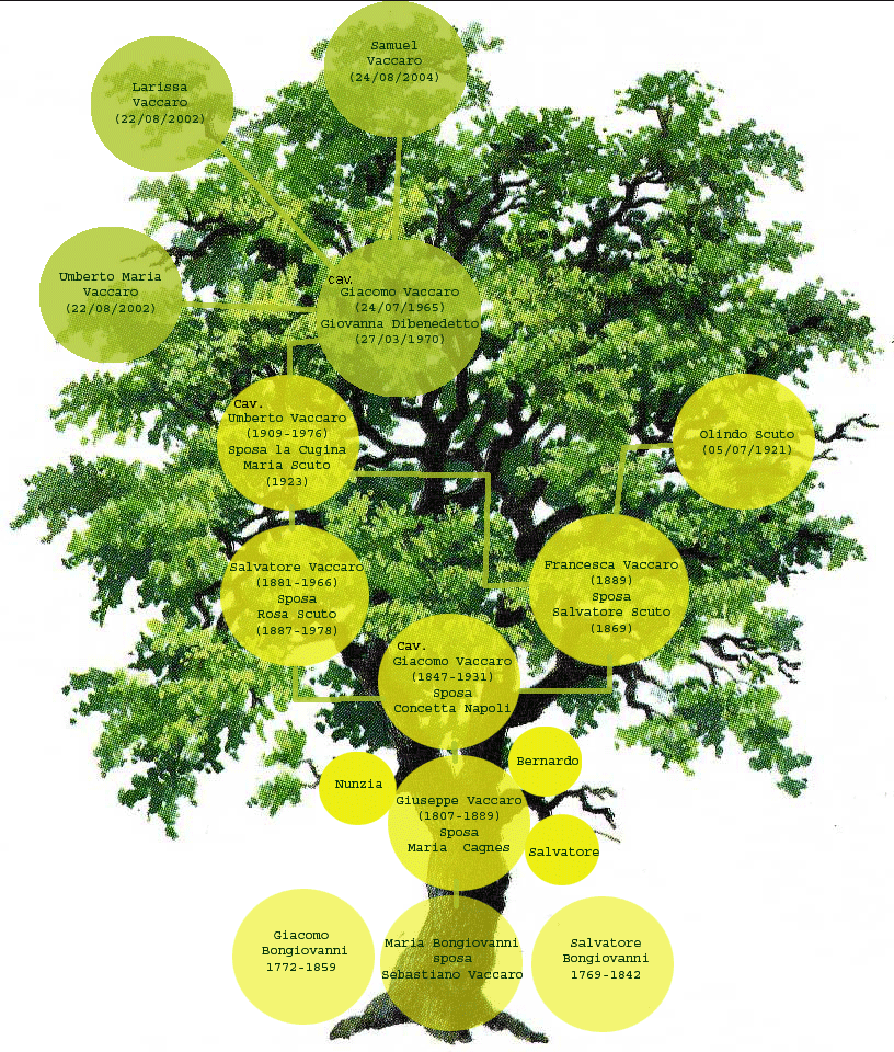 albero genealogico
